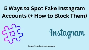 Spot Fake Instagram Accounts