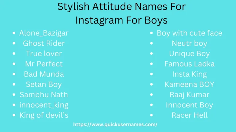 320+ Stylish Attitude Names for Instagram for boys