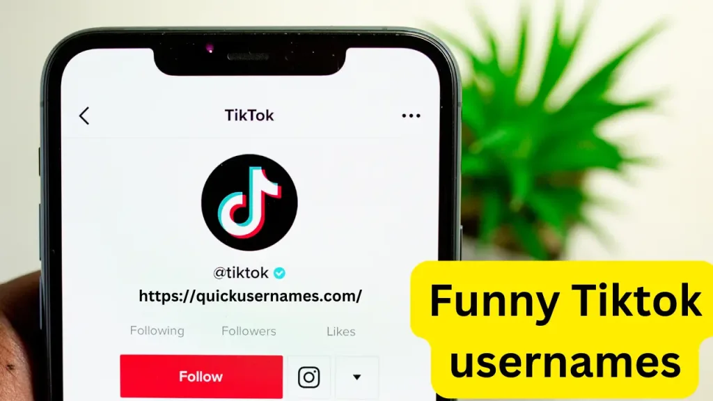 Funny Tiktok usernames