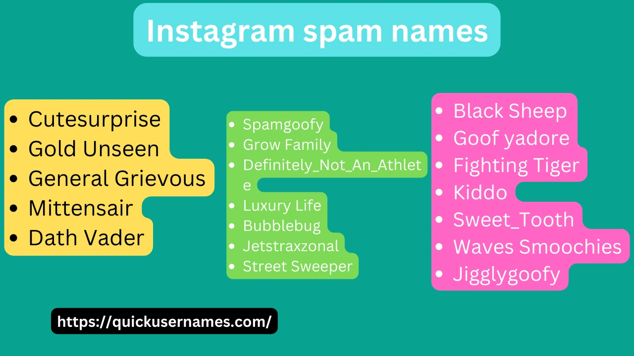 Instagram spam names