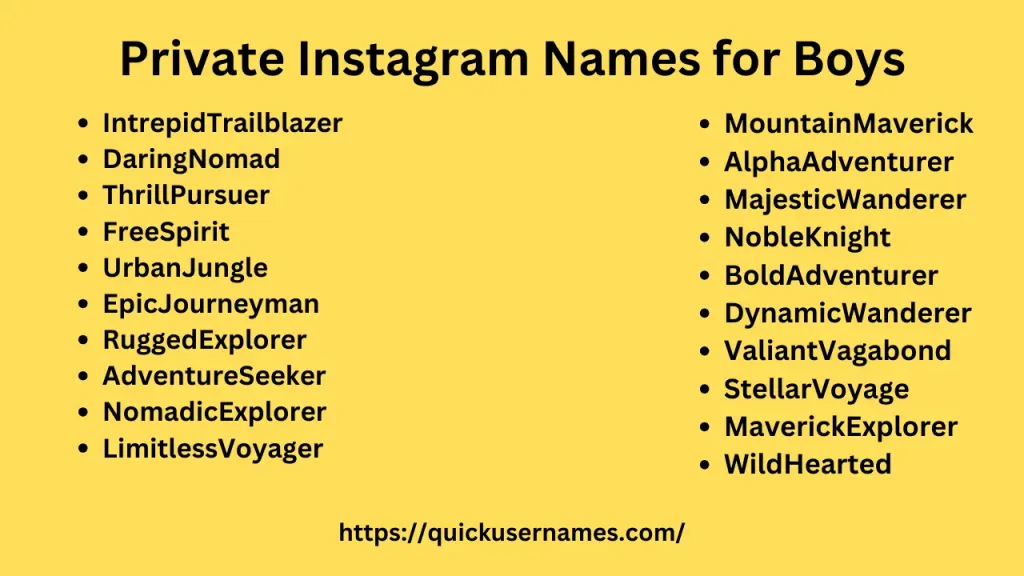 Private Instagram Names for Boys, thrillpursuer
