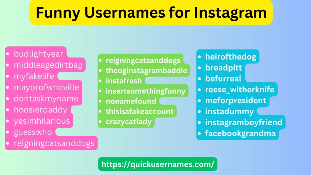 Funny Usernames for Instagram, budlightyear