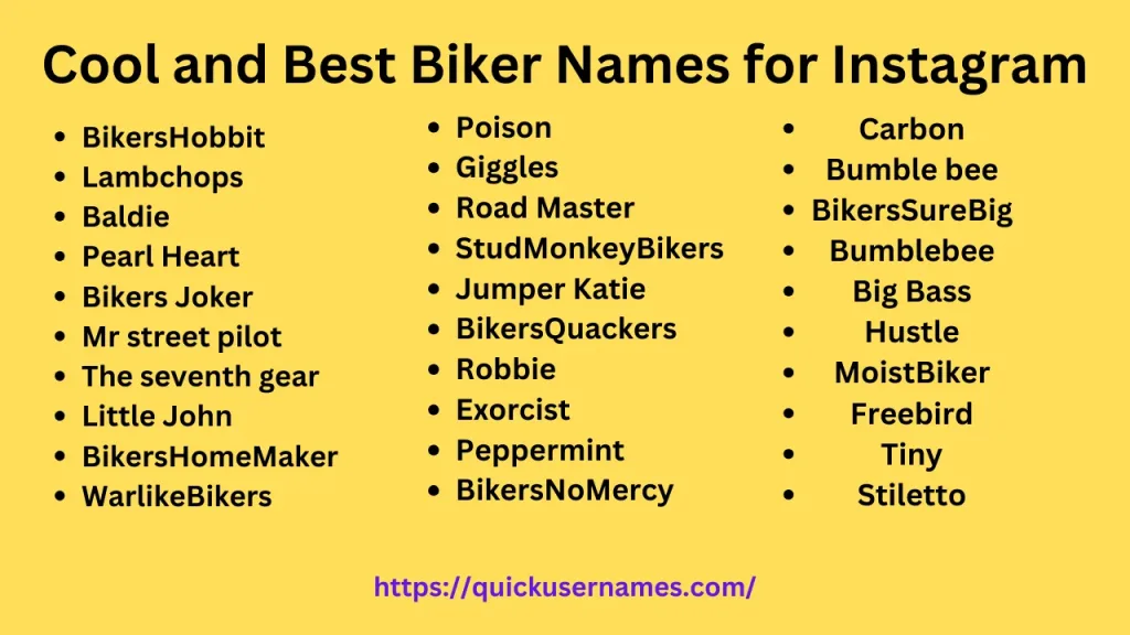 Biker Names for Instagram, BikersHobbit
