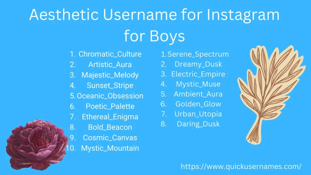 aesthetic Instagram usernames for boys, sunset_stripe