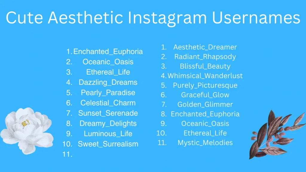 510+ Cute & Best Aesthetic Instagram Usernames For Girls & Boys- 2024