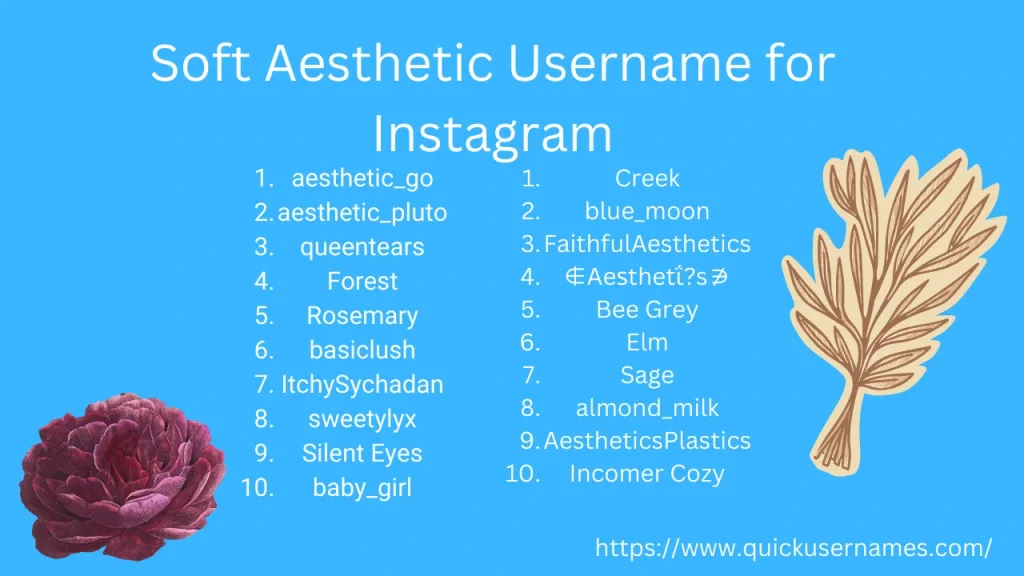 Soft Aesthetic Username for Instagram, aesthetic_go
